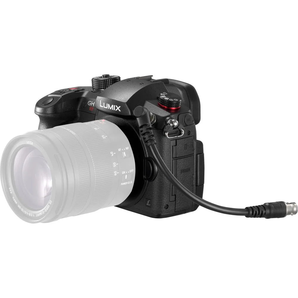 Used Lumix GH5 S with 45-105mm 42.5mm f/1.7 lens - cambuy-lives