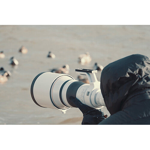 Canon RF 800mm f/5.6 L IS USM Lens - cambuy-lives