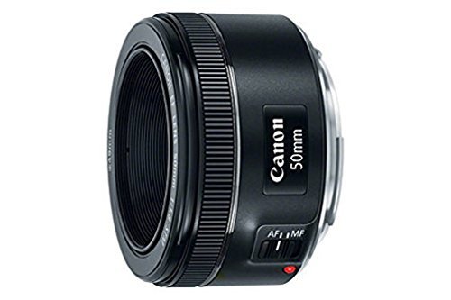 Canon EF50mm f/1.8 STM Lens - cambuy-lives