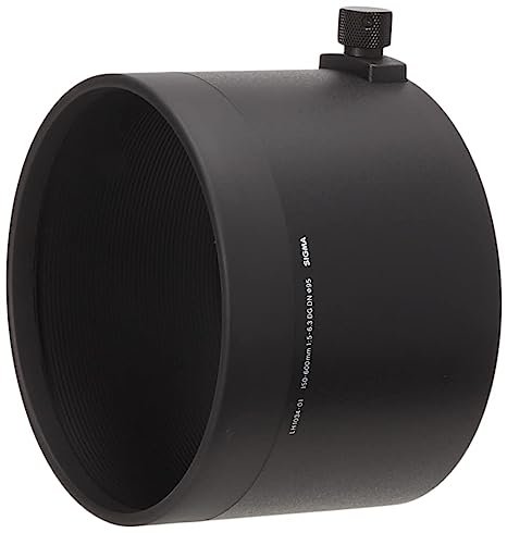 Sigma 150-600mm f/5-6.3 DG DN - cambuy-lives