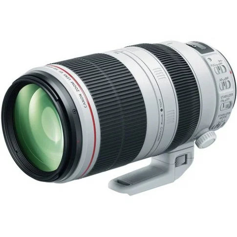 Canon EF 100-400mm f/4.5-5.6L IS USM Telephoto Zoom Lens