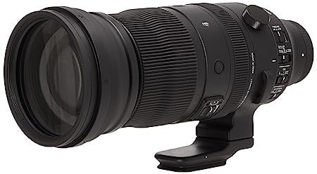 Sigma 150-600mm f/5-6.3 DG DN - cambuy-lives