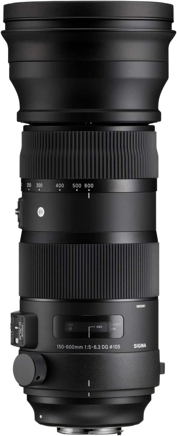 Sigma 150-600mm 5-6.3 Sports DG Contemporary Lens for Canon Mount Open Box - cambuy-lives