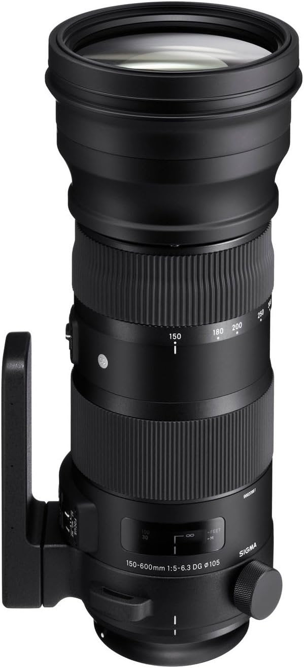 Sigma 150-600mm 5-6.3 Sports DG Contemporary Lens for Canon Mount Open Box - cambuy-lives