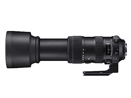 Sigma Sports 60-600mm f/4.5-6.3 DG OS HSM Lens for Canon DSLR Cameras (Black) - cambuy-lives