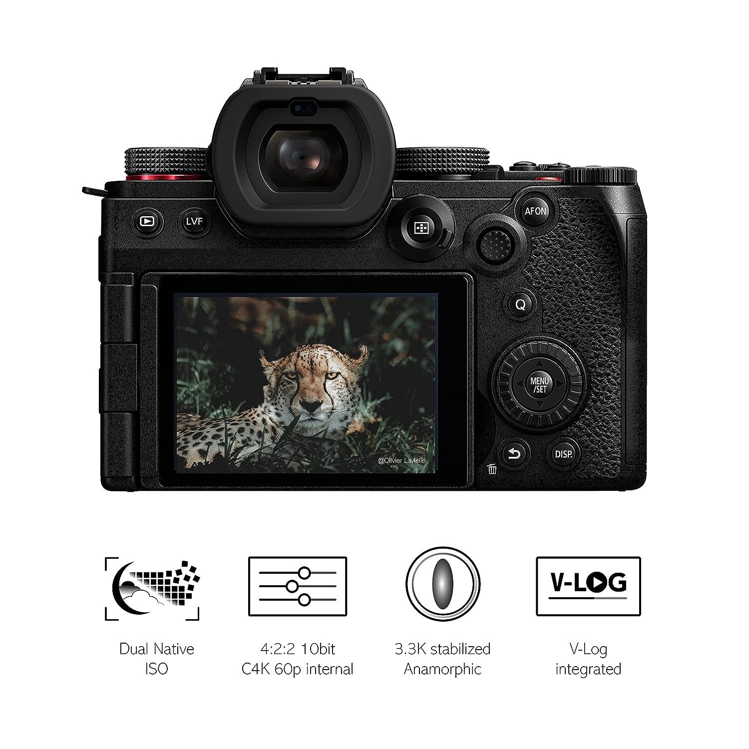 Panasonic LUMIX DC-S5 II Full Frame Mirrorless Camera with 20-60 mm F3.5-5.6 Lens - cambuy-lives